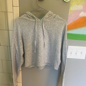 Gray Cropped Sweatshirt